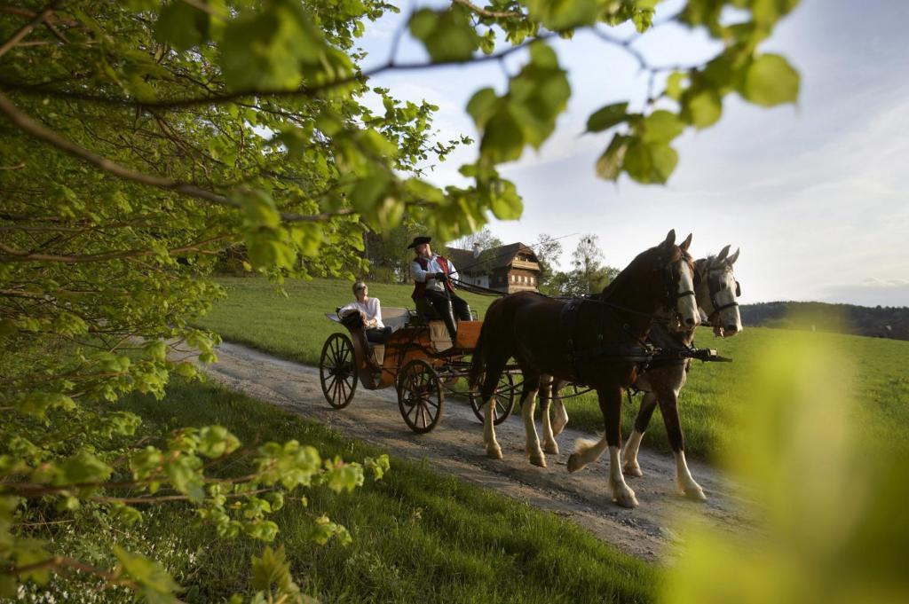 Ferienhaus Troadkasten - Familie Friedrich Hartberg Zewnętrze zdjęcie